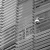 Phishing Scam Mimics Google Program To Hack Facebook Accounts