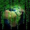 Why Businesses Are Turning to Digital Dashboards for Insights